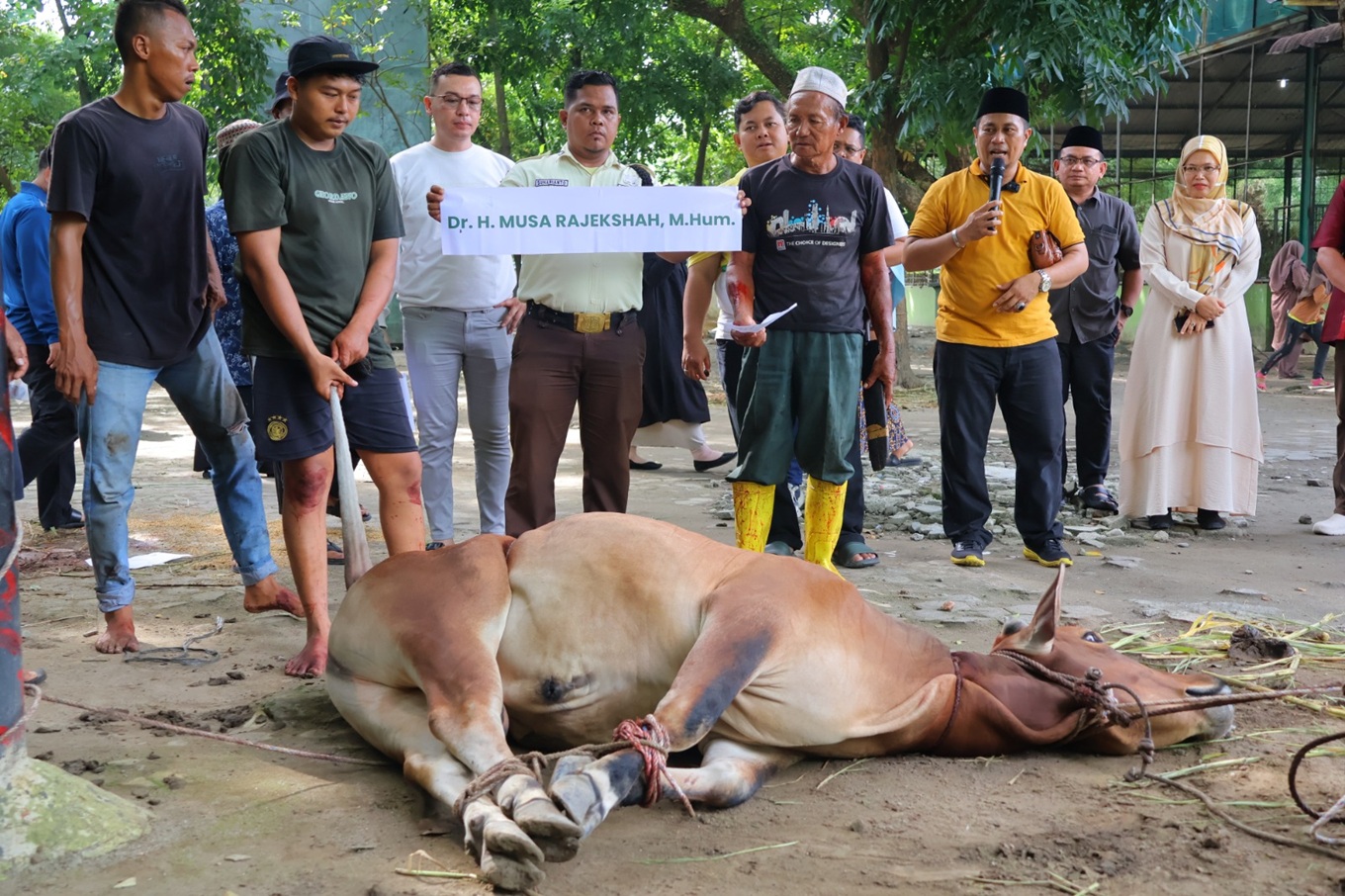 UINSU Medan Gelar Pemotongan Hewan Kurban Idul Adha 1446 H: 21 Ekor Lembu dan 2 Kambing Disalurkan ke 1.400 Penerima