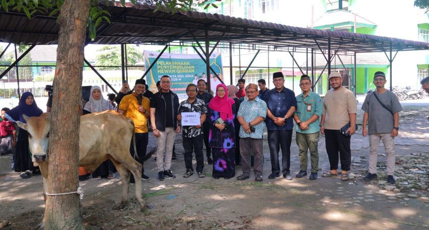 UINSU Medan Rayakan Idul Adha 1447 H dengan Sembelih 22 Ekor Sapi dan 1 Ekor Kambing, Perkuat Kebersamaan dan Kepedulian Sosial